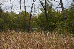 Photo caption: A group of people seen bulldozing a local plot of land with no municipal certification last week sparked plenty of outrage among nearby residents – causing the city to intervene. On October 5 – four days after activities started – a number of Gatineau municipal inspectors and police officers presented themselves at the site to request a tree-cutting permit, which wasn’t provided, before issuing a notice to of work stoppage calling to remove machinery from the property. Photo: Jordan Gowling