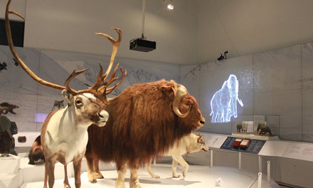 Museum of Nature’s “Planet Ice: Mysteries of the Ice Ages” exhibit extended until January 8. 