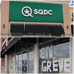 The front of the SQDC branch in Gatineau, at 73, boulevard la Gappe.