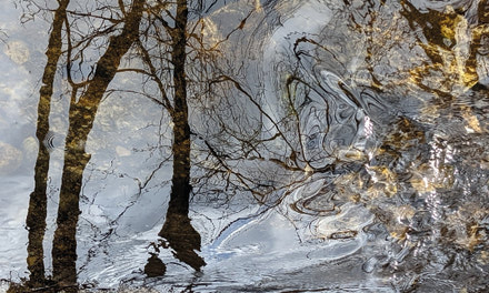 Spring run-off in Deschenes Forest