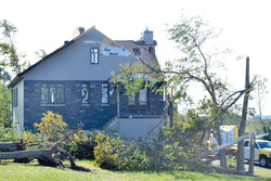 The tree in the foreground of this Breckenridge tornado-stricken home is the kind that is liable to bounce violently if not treated with caution. (LR)
Photo : Lily Ryan
