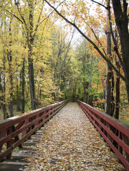 Photo caption: Wanting to put in place concrete actions to preserve important greenspaces in Deschênes, a trio of local environmentalists officially founded a new non-profit organization with many goals in mind. Titled the Deschênes Park Alliance (APD), the organization envisions promoting the preservation, integrity and eco-responsible development of natural areas located between the Deschênes Rapids and chemin Fraser; to conserve and value its natural and cultural heritage; and to make the area accessible for educational purposes. Photo: Courtesy of Howard Powles