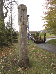 Photo: Transforming a leafless tree into a stunning masterpiece, local chainsaw artist Josh Dagg wowed Plateau residents with his latest totem pole project at Parc du Shamal. On October 20, Gatineau’s municipal council approved to subsidize $3,500 for the project. Photo : Courtesy of Josh Dagg