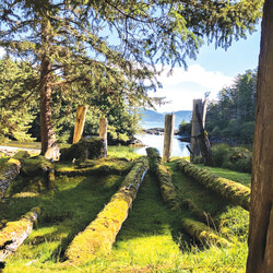 SGang Gwaii village from the forest, Looking out to the ocean. It shows the collapsed longhouses, where their totem poles are still standing, gazing out to sea. We can imagine their splendour when this was a bustling village of some 300 or so people. 
Photo: Katharine Fletcher