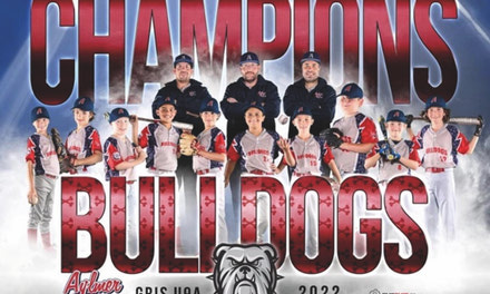 Les Bulldogs gris d’Aylmer sont les Champions régionaux de baseball U9A