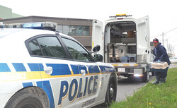 In total, Gatineau police and the animal control unit seized 26 cats in Old Aylmer on August 27.
Photo: LRC