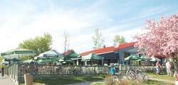 Gatineau earmarked $5.4 million for Aylmer Marina redevelopment.	Photo: Lily Ryan