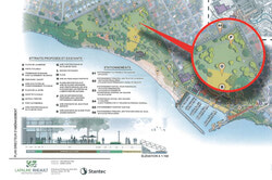 Illustration: Consultative plan for the re-designed Park des Cèdres, as presented to community organizations February 18. 