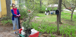 Residents took the opportunity to decorate their yards with plants. Photo: courtoisie/courtesy